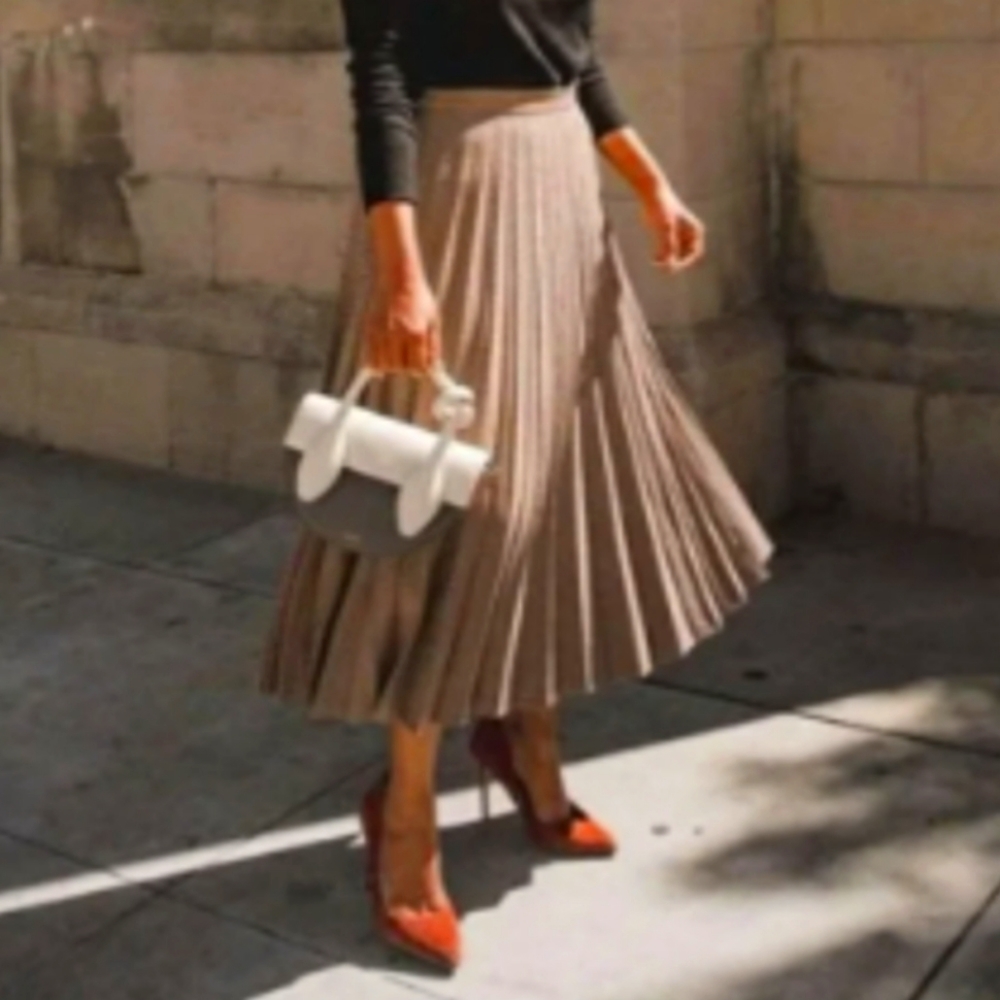 Zara Pleated Skirt